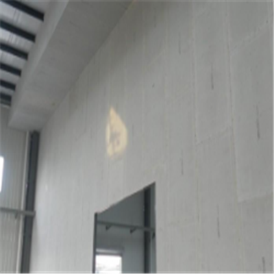 化州宁波ALC板|EPS加气板隔墙与混凝土整浇联接的实验研讨